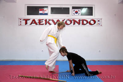 taekwondo kwon training
